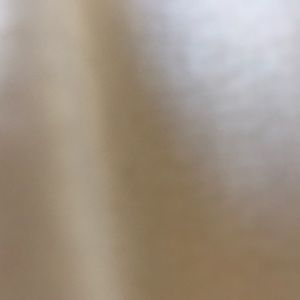 Meet your Posher, Maddie